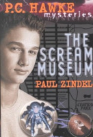 The_scream_museum